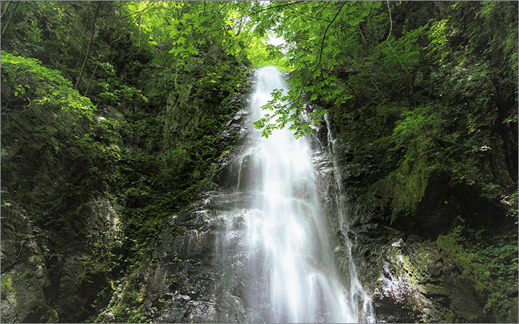 多摩川水系の水源の一つ 「百尋ノ滝」