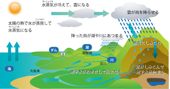 水の循環