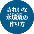 きれいな水環境の作り方